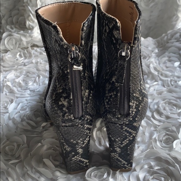 Steve Madden Retrograde Grey Snake Booties! - Picture 5 of 6